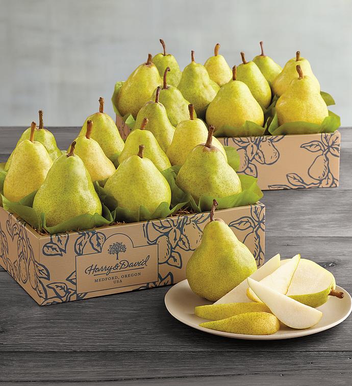 Two Boxes of Premium Pears