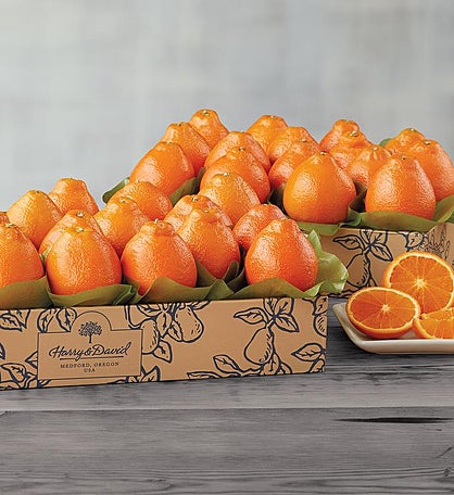 Cushman's® Florida HoneyBells - Two Trays