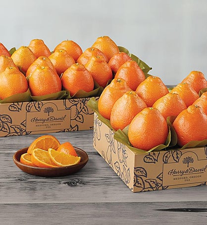 Western HoneyBells - Two Trays