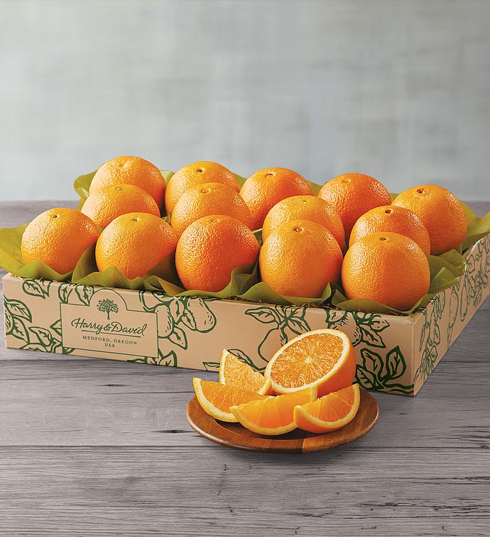 Navel Oranges One Tray