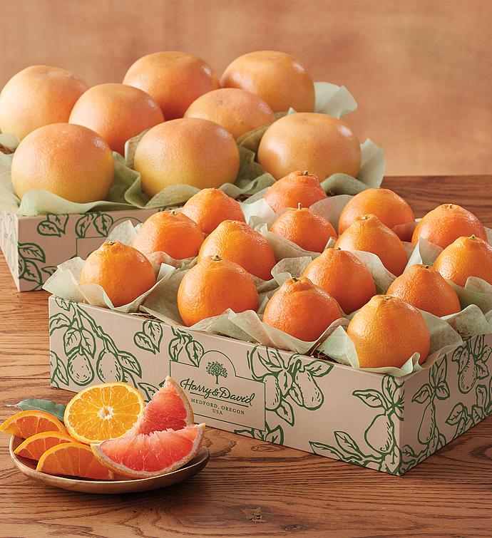 Honey Bells and Red Grapefruit Two Trays