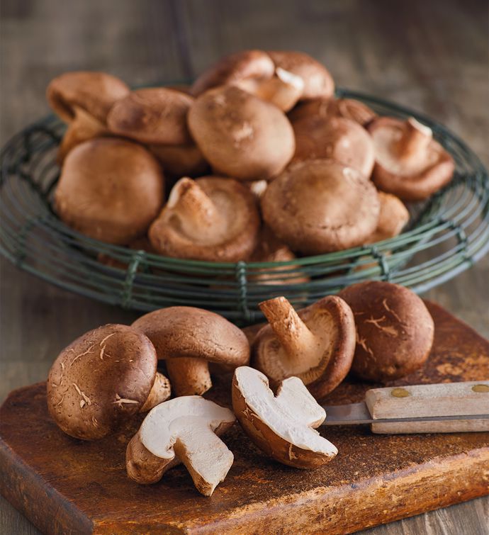 Shiitake Mushrooms