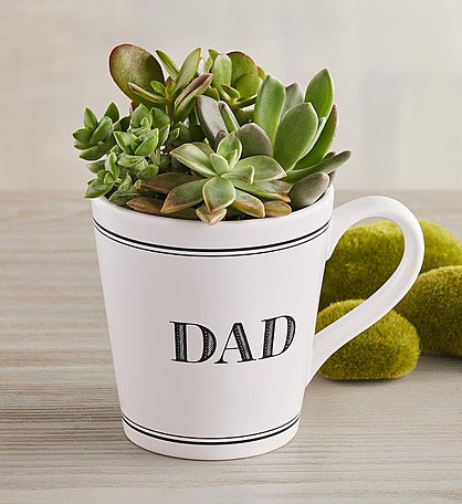 "Dad" Mug Succulent Garden