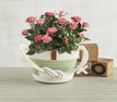 May club product