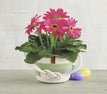 April club product