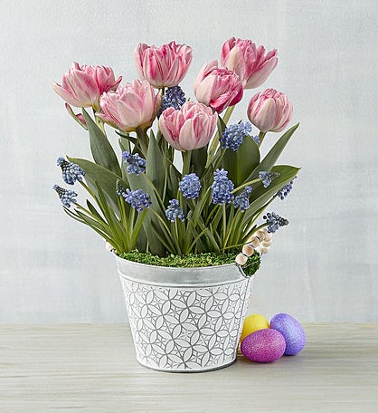 Tulip and Hyacinth Garden