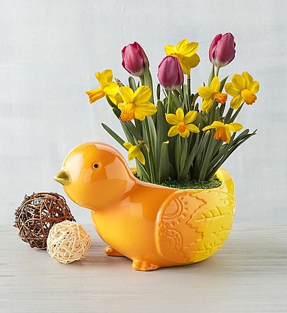 Bulb Garden in Chick Planter