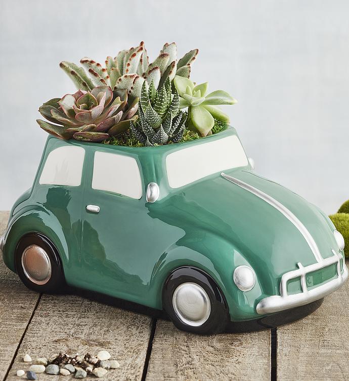 Succulents in Retro Car Planter