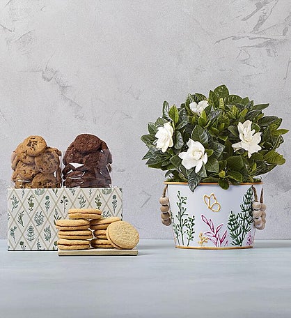 Gardenia with Cookies