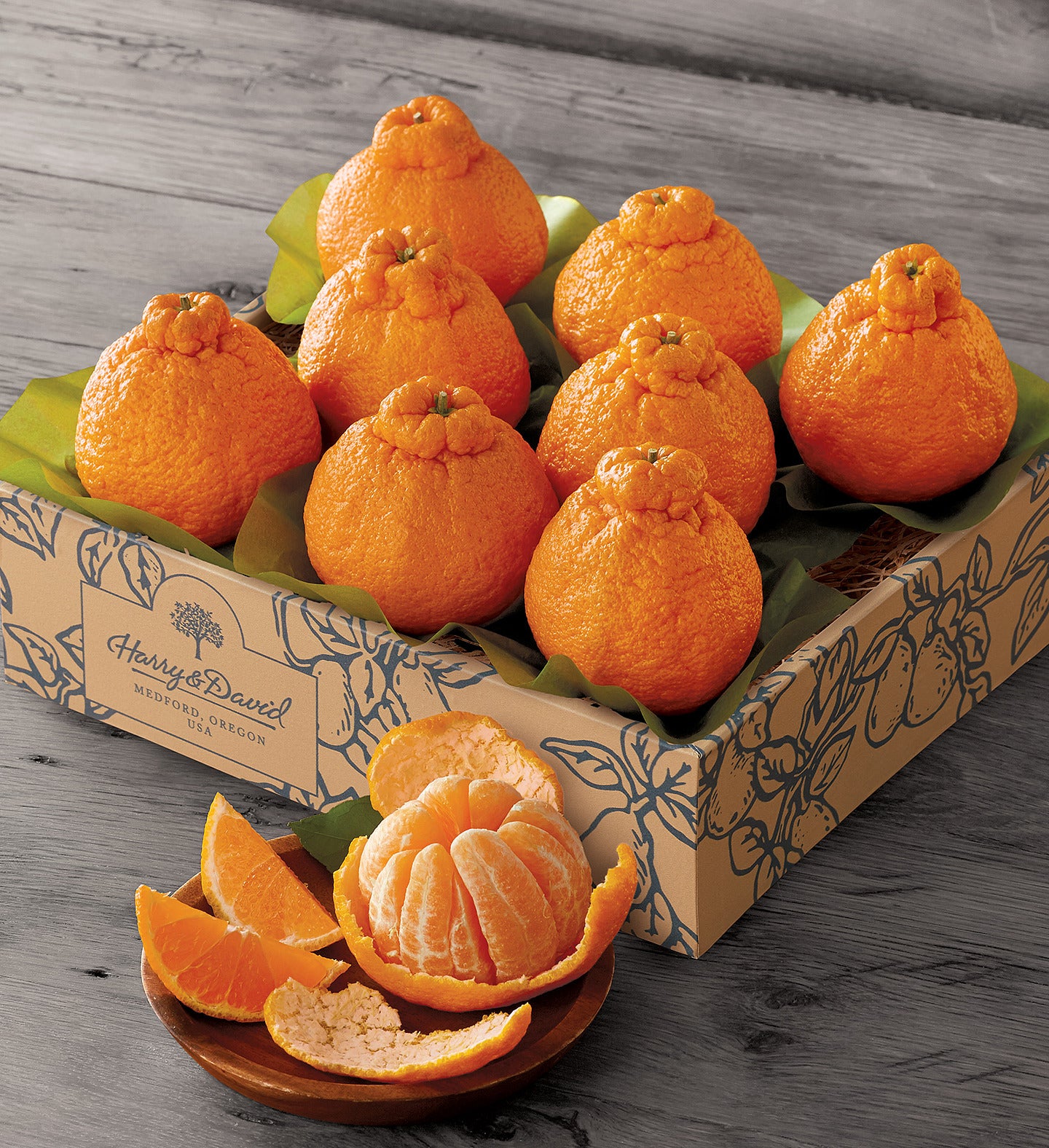 The Sumo Citrus Orange