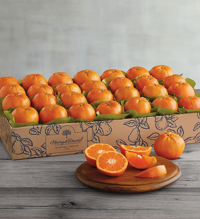 Honey Tangerines