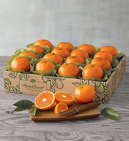 Scarlet Navel Oranges Box, Florida Oranges, Grapefruit, Citrus Gifts -  Hyatt Fruit Company