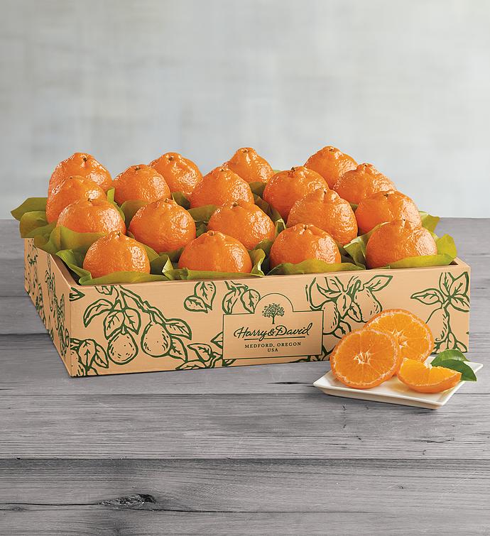 Gold Nugget Mandarins