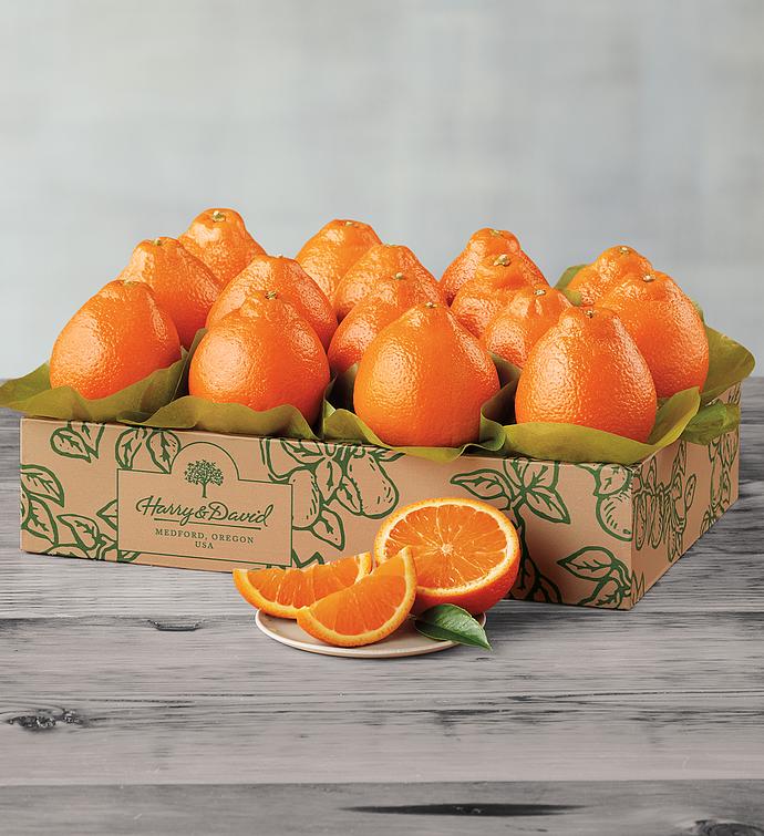 Cushman's® Florida Honey Bells One Tray