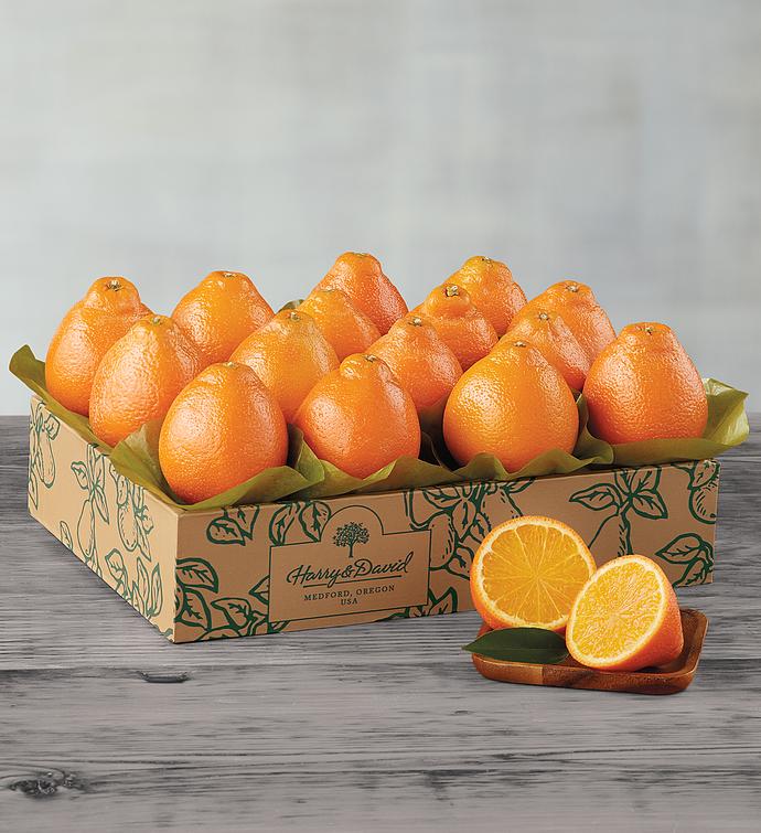 Western Honey Bells   One Tray