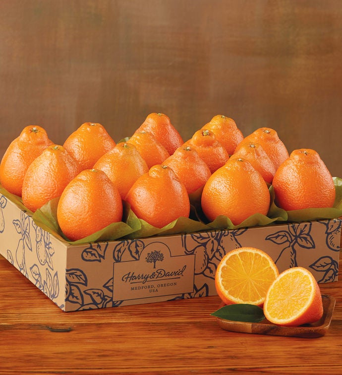 HoneyBells One Tray Citrus Fruit Delivery Harry & David