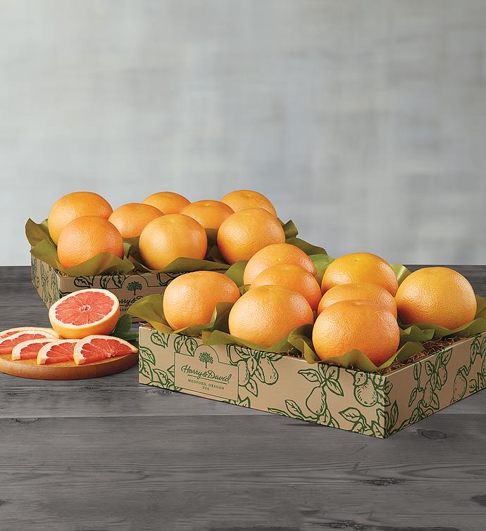 Red Grapefruit Two Trays