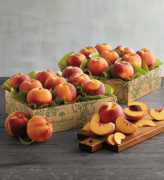 Two Boxes of Oregold® Peaches
