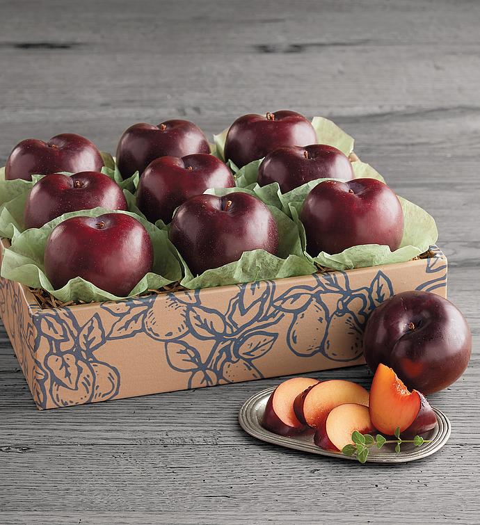 12-Month Light Size Club (November Start)