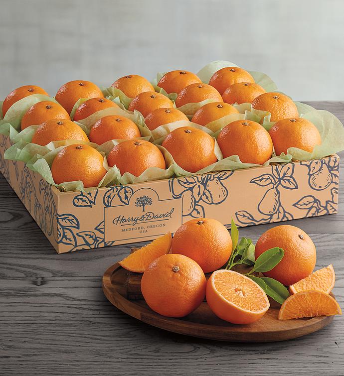 Southern Hemisphere Clementines