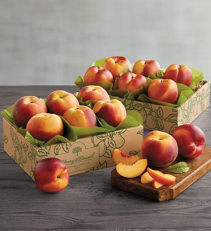 OregoldĀ® Peaches and Nectarines