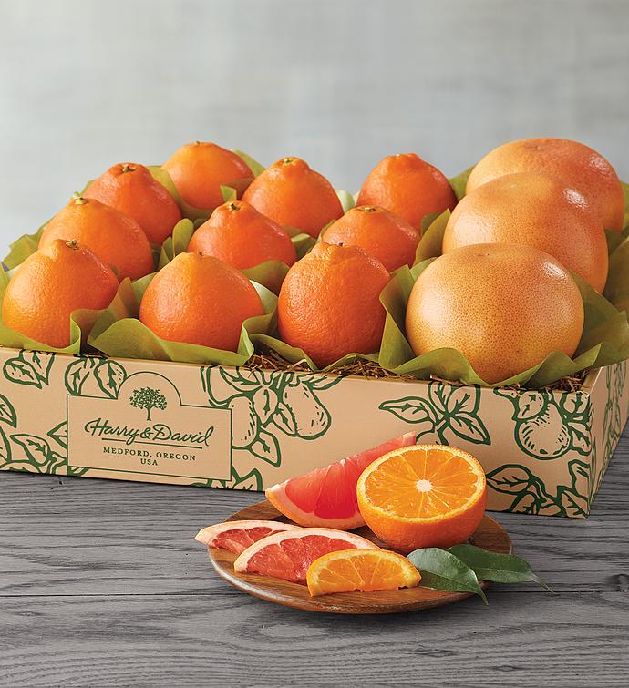Honey Bells and Red Grapefruit One Tray