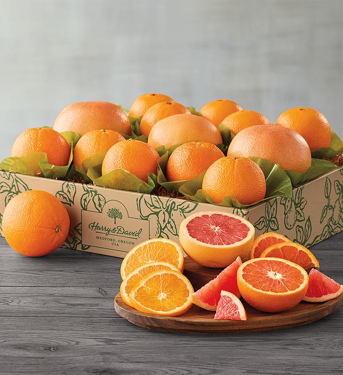 Holiday Citrus Trio