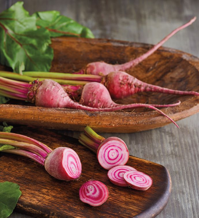 Baby Candy Cane Beets