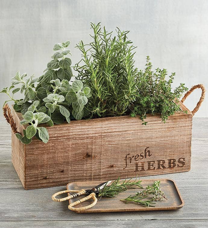 Reclaimed Wood Herb Garden
