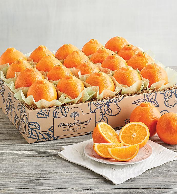 Sugar Belles™ Citrus