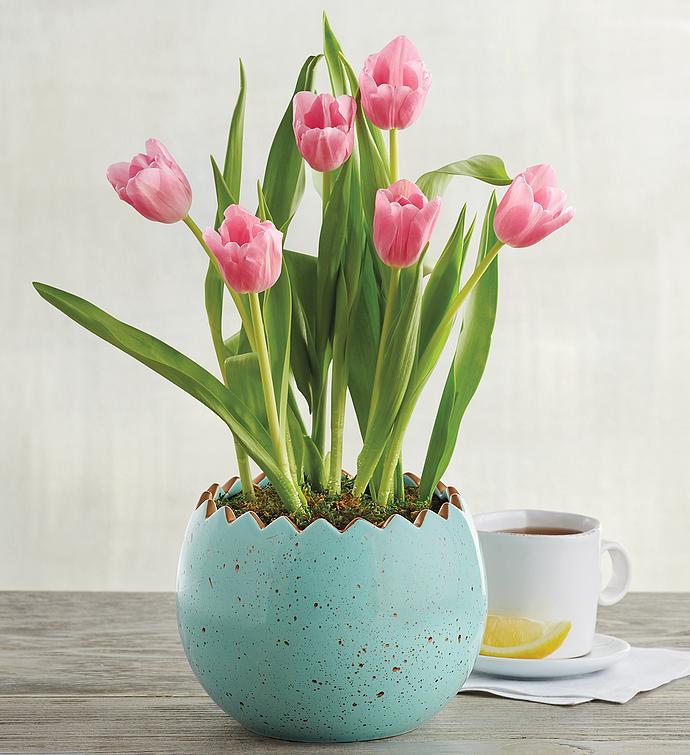 Pink Tulips in Easter Egg Planter
