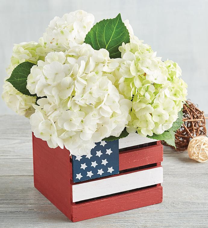 White Hydrangea in American Flag Crate