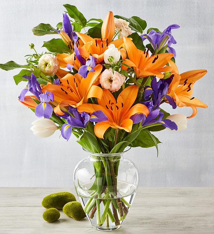 Bouquets Gerbera Daisy Orchids Lilies More Harry David