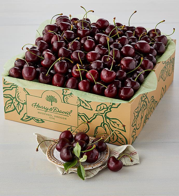 Organic Plump Sweet Cherries