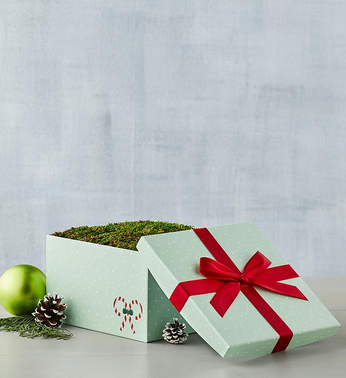 Paperwhites Bulb Garden in Gift Box