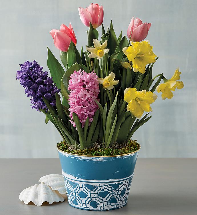 Spring-Themed Bulb Garden