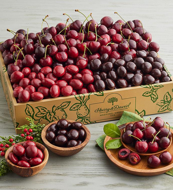 Plump-Sweet Cherries and Chocolate-Covered Cherries