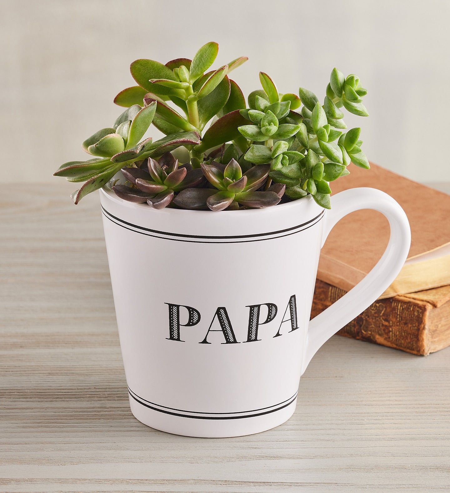 Papa Mug Succulent Garden