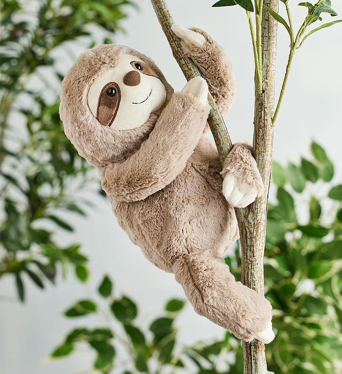 sloth with stuffed animal