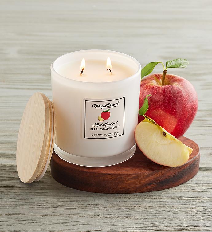 Apple Orchard Scented Candle