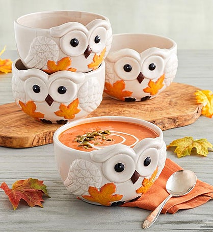 Fall Owl Soup Bowls - Set of 4