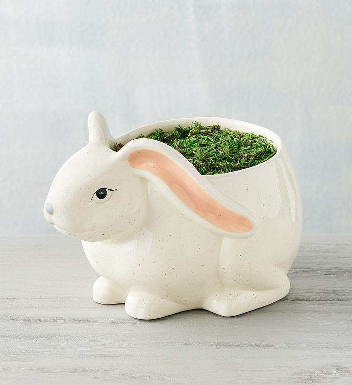 Crocus Bulb Garden in Bunny Planter