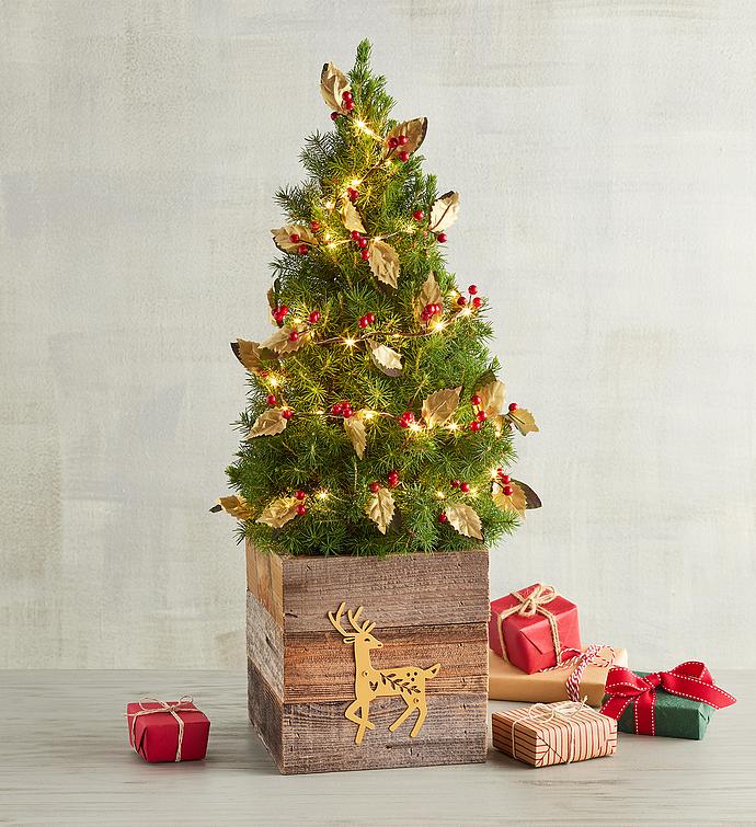 Rustic Christmas Tree