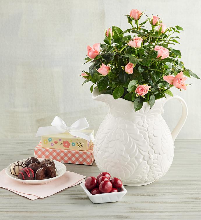 Roses For Any Occasion - Celebration Gift Ideas - English Roses