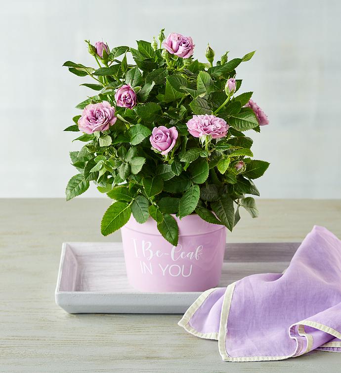 &quot;I Be-leaf in You&quot; Plant Gift