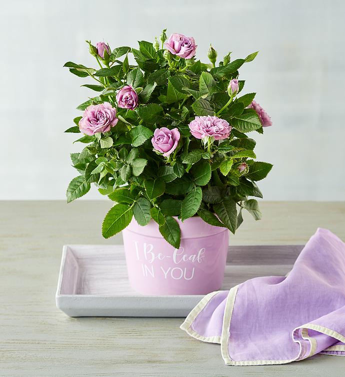 "I Be leaf in You" Plant Gift