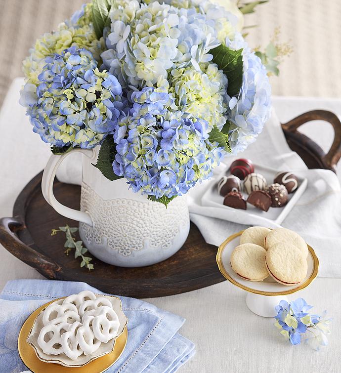 Hydrangea in Pitcher