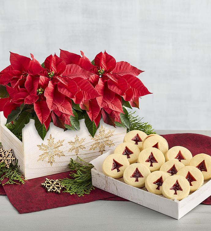 Poinsettia Duo with Cookies