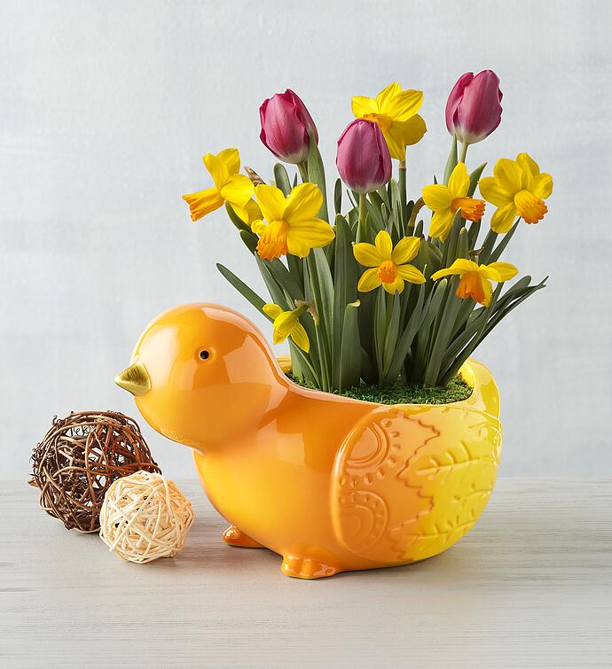 Bulb Garden in Chick Planter