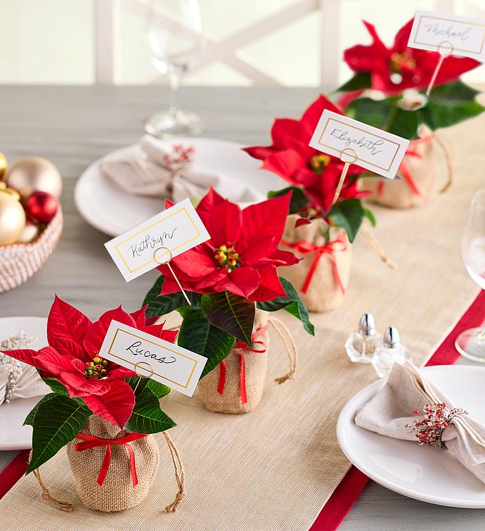 Poinsettia Place Card Holders - Set of 4